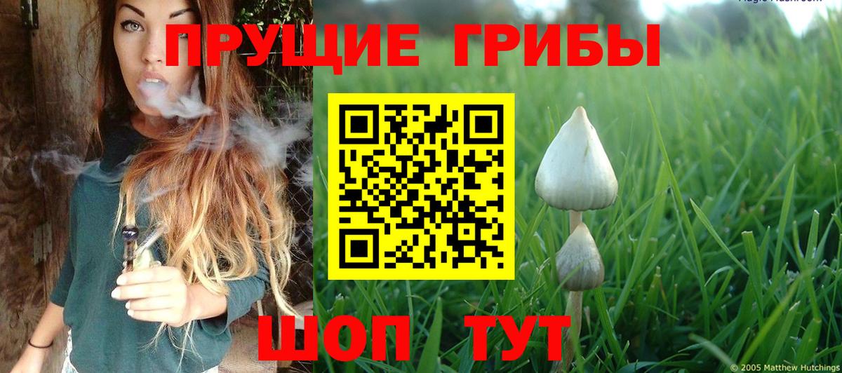 Галлюциногенные грибы мицелий Лесной